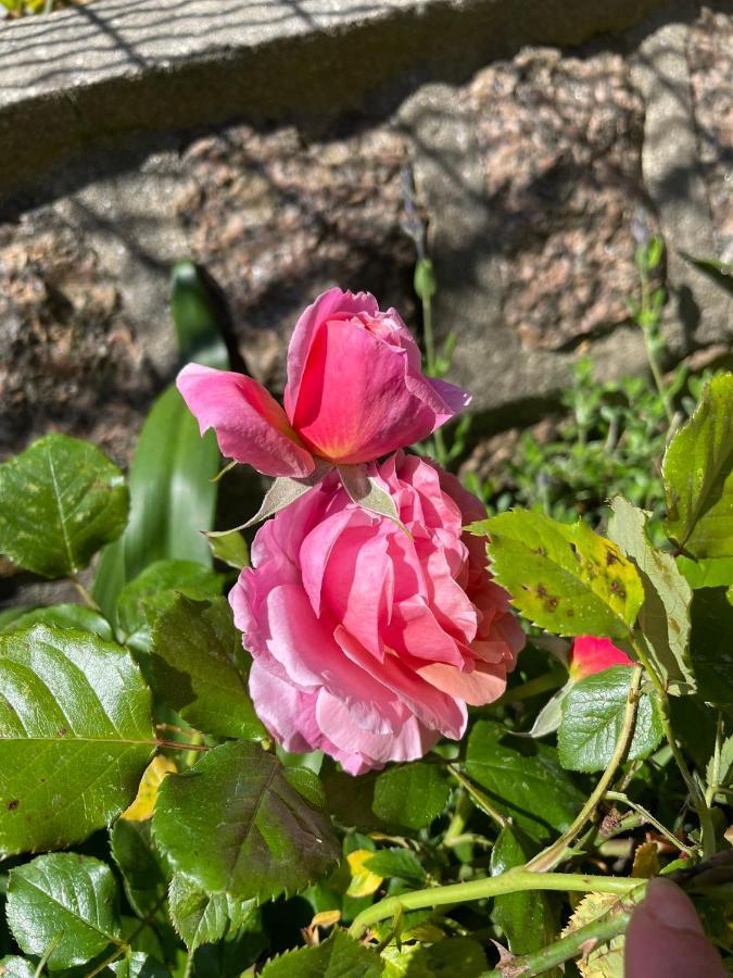 Chez Minh Thu Leilighet Perros-Guirec Eksteriør bilde